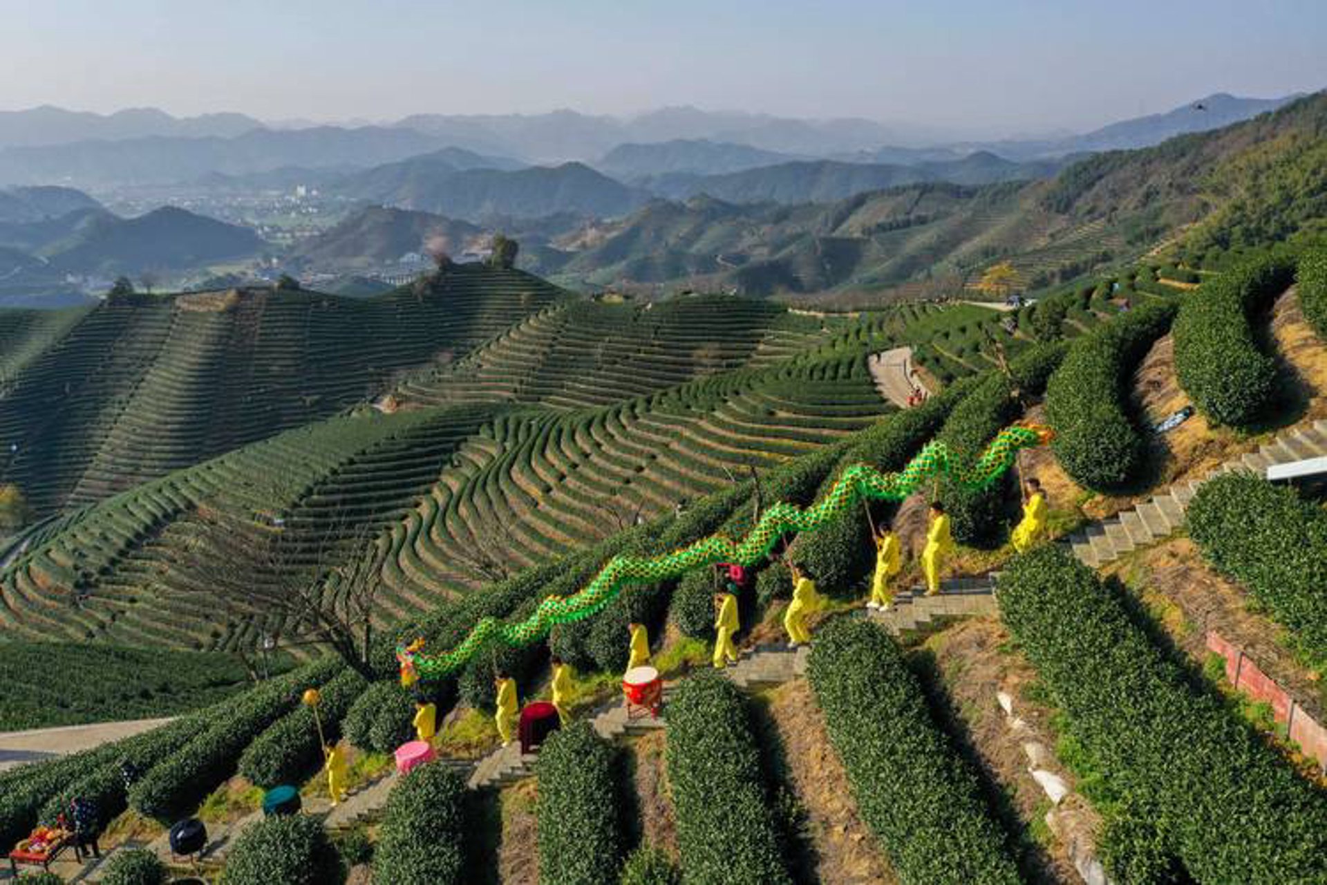 茶基茶业